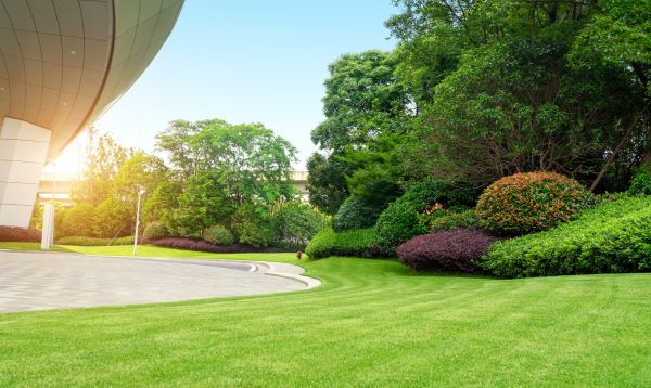Cost of Commercial Lawn Mowing in Oviedo