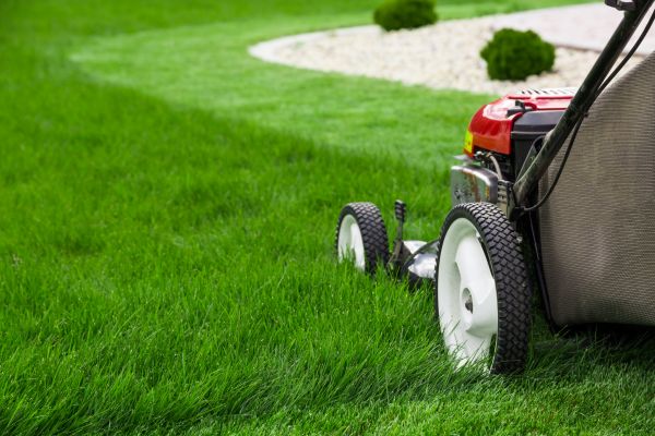 Cost of Grass Cutting Service in Oviedo