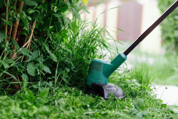 Cost of Weed Whacking in Oviedo