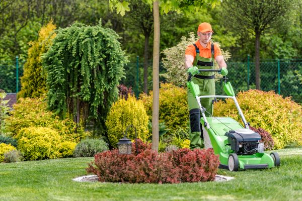 Cost of Yard Service in Oviedo