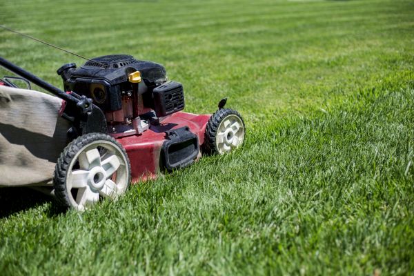 Cost of Routine Lawn Care in Oviedo