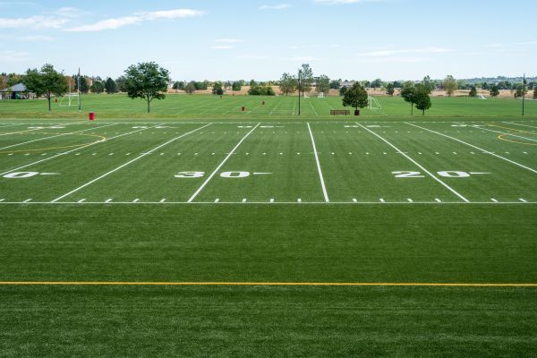Cost of Groundskeeping Service in Oviedo