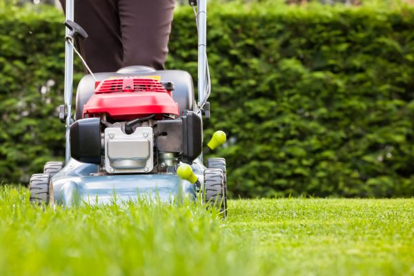 Cost of Grass Trimming Service in Oviedo