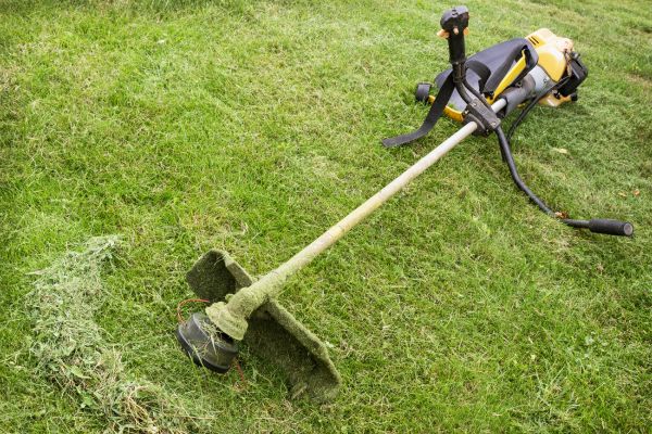 Cost of Hillside Weed Whacking in Oviedo