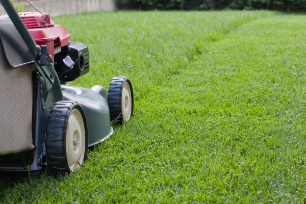 Cost of Spring Lawn Maintenance in Oviedo