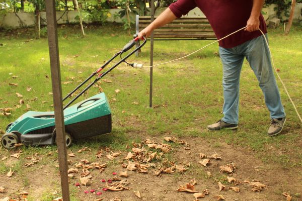 Cost of Leaves Mowing in Oviedo