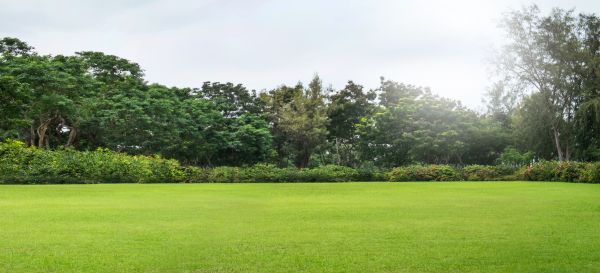 Cost of Golf Course Mowing in Oviedo