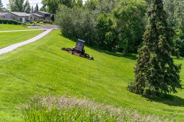 Cost of Sloped Area Mowing in Oviedo