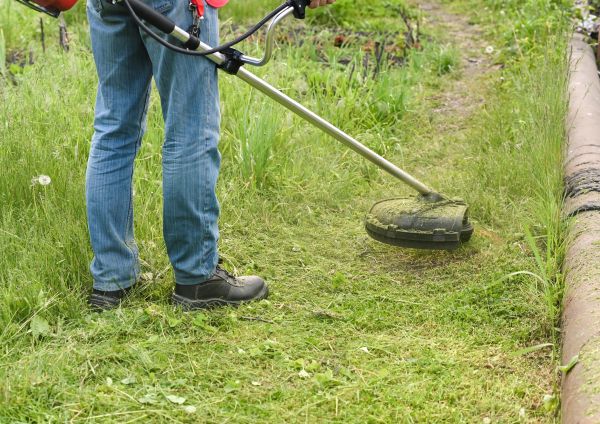Cost of Tall Grass Trimming in Oviedo