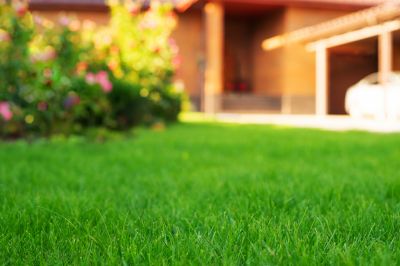 Industrial Lawn Service detail