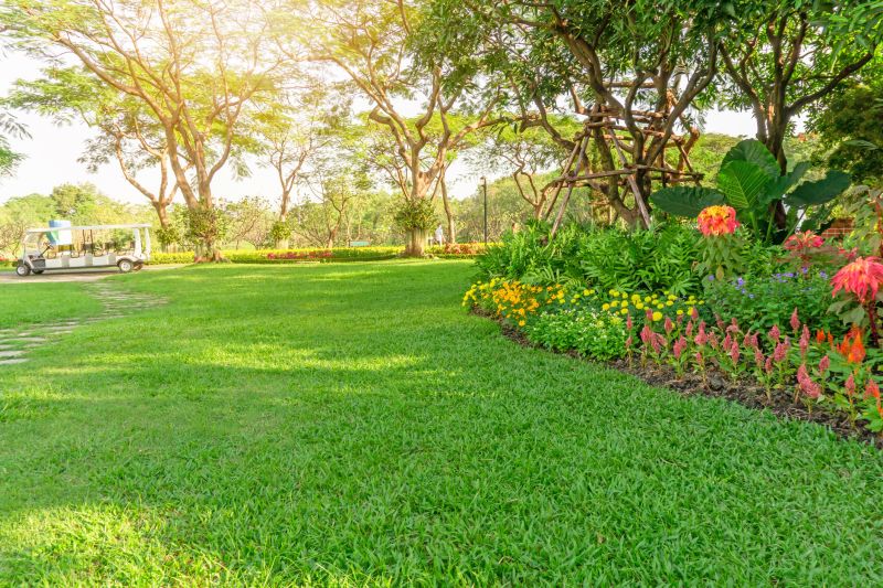 Lawn Care And Maintenance