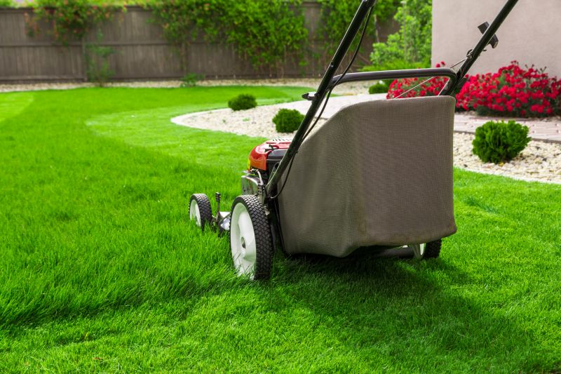 Spring Lawn Mowing