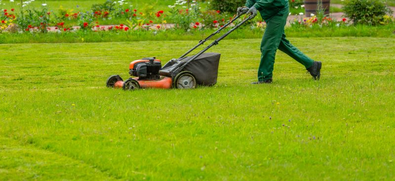 Routine Lawn Maintenance
